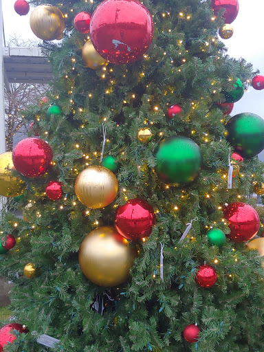 Shopping Mall «Grand Ridge Plaza», reviews and photos, 1451 Highlands Dr NE, Issaquah, WA 98029, USA