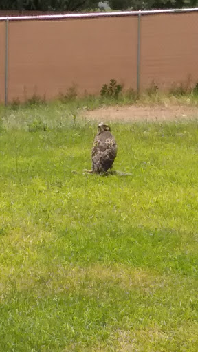 Golf Course «Prescott Country Club», reviews and photos, 1030 Prescott Country Club Blvd, Dewey, AZ 86327, USA