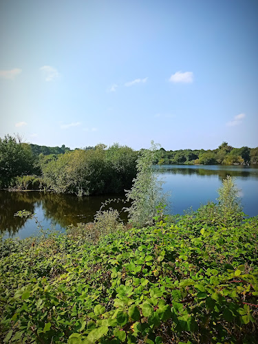 Stillwater Lake, nature reserve - Other