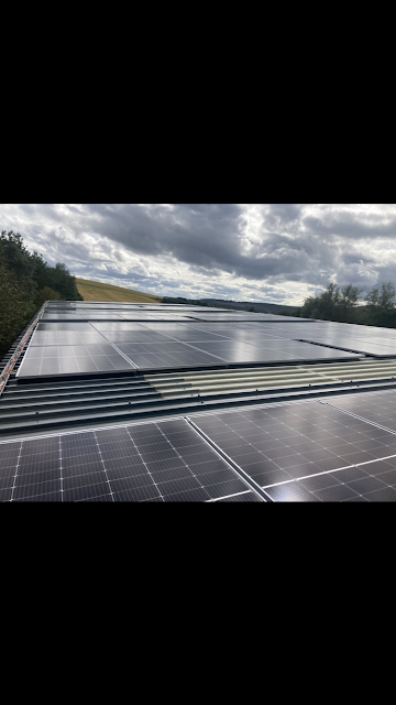 Reedie Electrical Ltd