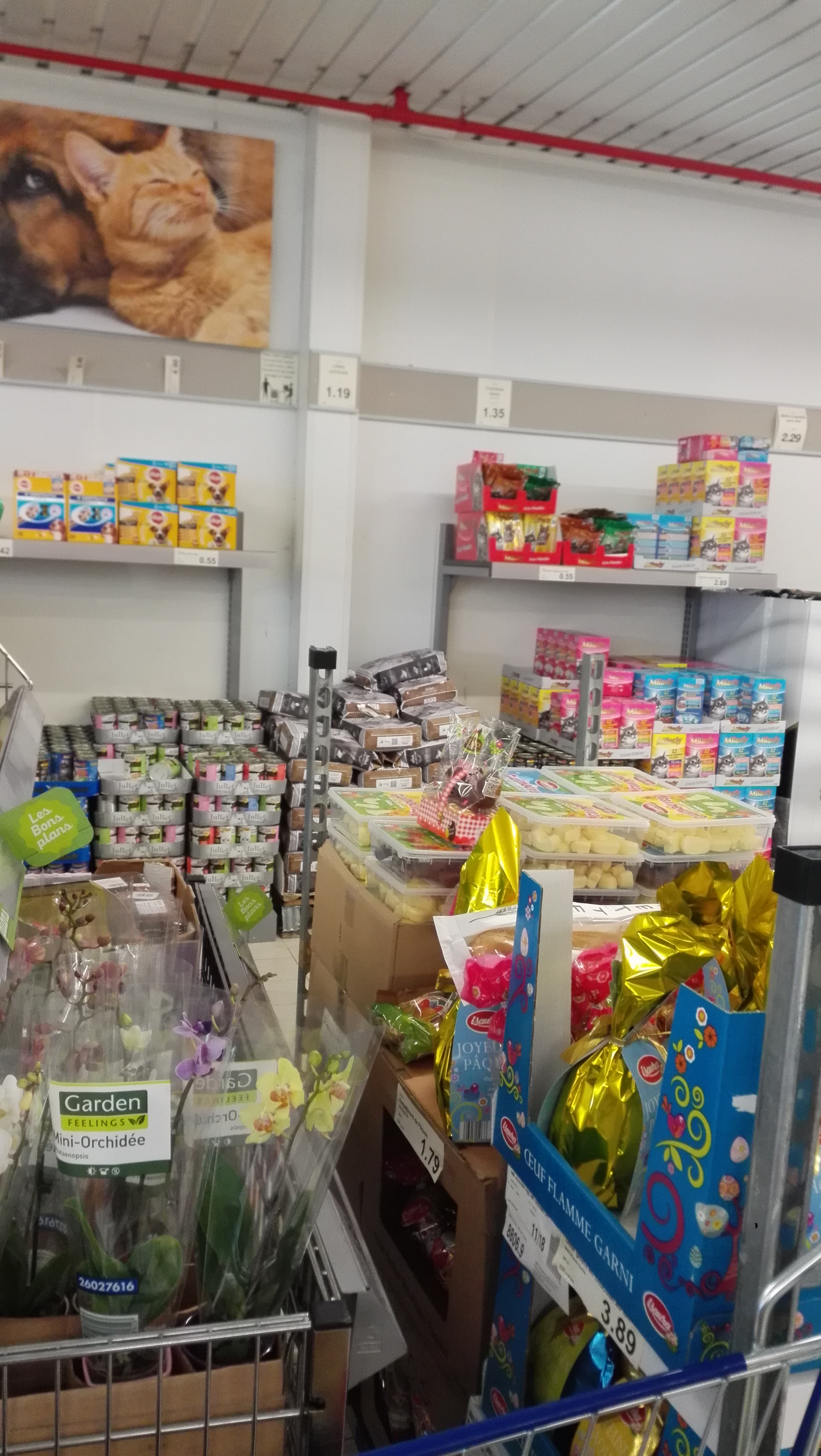 Photo n° 4 de l'avis de Caille. fait le 25/02/2017 à 12:54