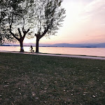 Photo n°2 de l'avis de Luciano.o fait le 05/07/2021 à 17:26 sur le  Lugana Beach Ristorante Bar Pizzeria à Sirmione