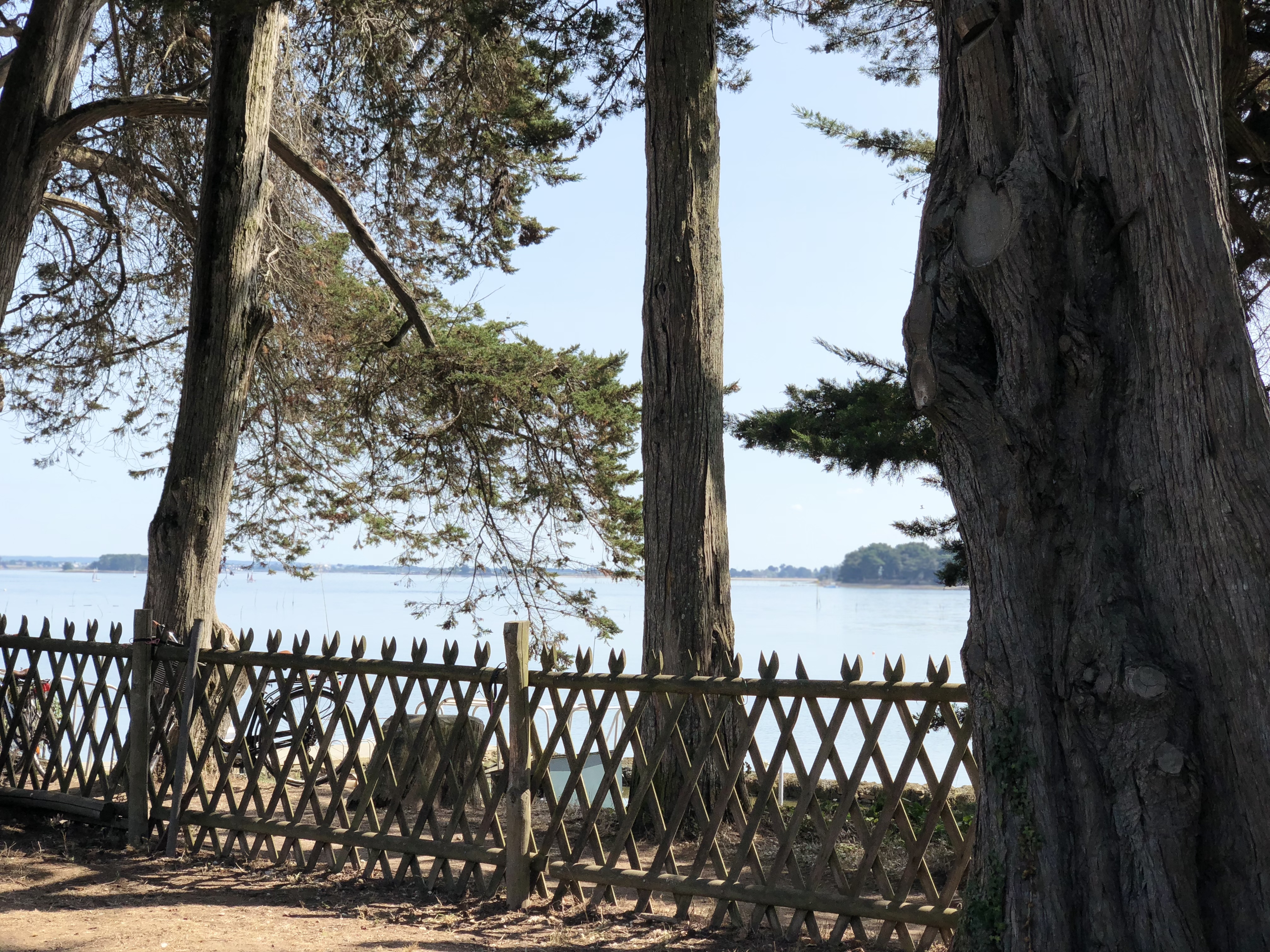 Photo n° 4 de l'avis de Igor.a fait le 22/08/2018 à 11:39