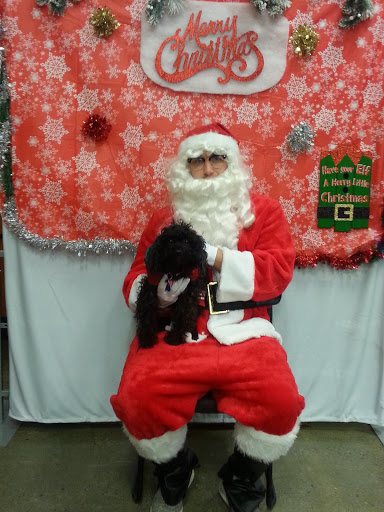 Pet Supply Store «PetSmart», reviews and photos, 279 E Fairmount Ave, Lakewood, NY 14750, USA