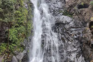Mainapi Waterfall Netravali image