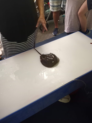 Aquarium «Explore the Ocean World, llc Oceanarium», reviews and photos, 367 Ocean Blvd, Hampton, NH 03842, USA