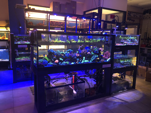 Aquarium «1st Class Aquarium», reviews and photos, 1167 Bay St, Staten Island, NY 10305, USA