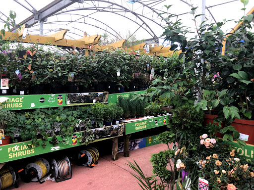 Vertical garden Southampton