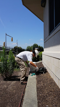 Graduate Pest Solutions Inc. - Photo 6 - Car repair in Hampden, MA, Springfield