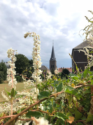 Photo Chalet Pipowagen & Kampeerhoeve ‘s Gravenhof 7077 AD Netterden