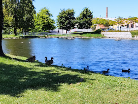 PARQUE DA CERCA