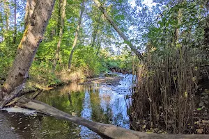 May Creek Trail image