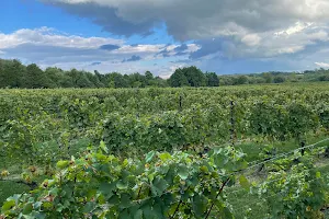 Stonington Vineyards image