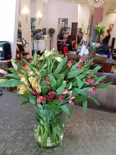 Beauty Salon «Euphoria Salon & Spa», reviews and photos, 4249 NW 107th Ave, Doral, FL 33178, USA