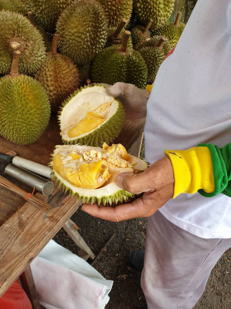 Liow durian stall