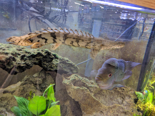 Pet Supply Store «Pet Club Santa Rosa», reviews and photos, 1935 Santa Rosa Ave, Santa Rosa, CA 95407, USA