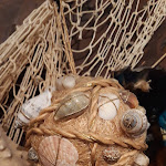 Photo n°7 de l'avis de Mariam. fait le 10/12/2018 à 16:58 sur le  Stellys Hüüs à Oldsum