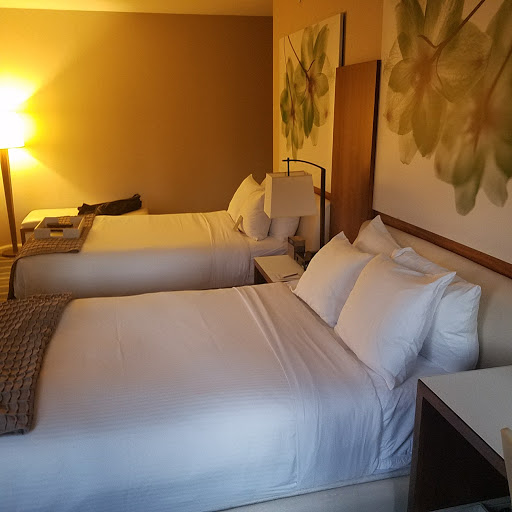 Luxury Hotel «Fairmont Chicago Millennium Park», reviews and photos, 200 N Columbus Dr, Chicago, IL 60601, USA