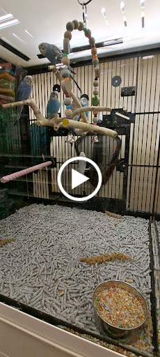 Pet Supply Store «PetSmart», reviews and photos, 1921 Gulf Fwy S, Dickinson, TX 77539, USA