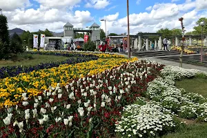 Gunma Flower Park image