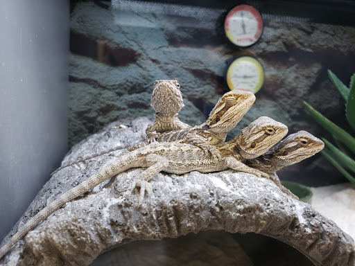 Pet Supply Store «Petco Animal Supplies», reviews and photos, 20111 US-19 #201c, Cranberry Twp, PA 16066, USA