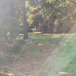 Photo n° 5 de l'avis de Mar.e fait le 21/01/2024 à 15:45 pour Arboretum National des Barres à Nogent-sur-Vernisson