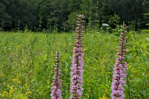 Jennings Environmental Education Center image