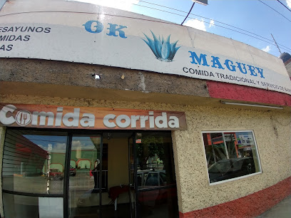 Ok Maguey - Centro, 2da Demarcación, 42700 Mixquiahuala, Hidalgo, Mexico