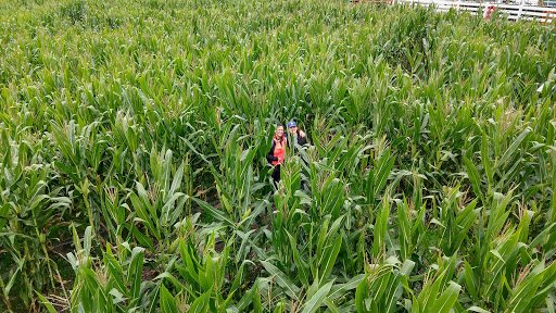 Amusement Center «Maris Farms», reviews and photos, 25001 Sumner Buckley Hwy, Buckley, WA 98321, USA