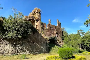 Basohli Fort image