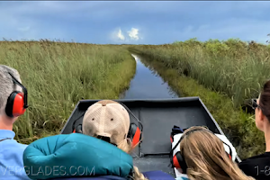Airboat In Everglades image