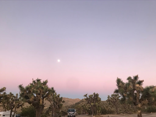 Escape Campervans image