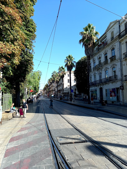 Espace Mobilité TaM Maguelone