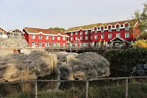 The Paddling Bear Hotel image