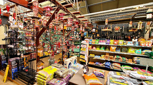 Garden Center «Homestead Gardens», reviews and photos, 743 Central Ave, Davidsonville, MD 21035, USA