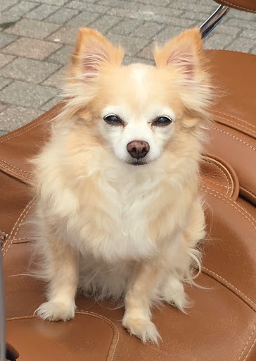 2115 112th Ave NE, Bellevue, WA 98004, USA