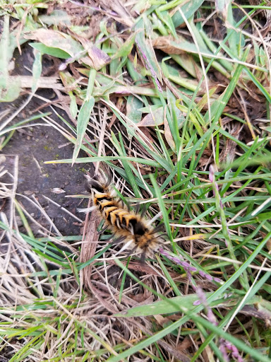 Nature Preserve «St. Croix Savanna Scientific and Natural Area (SNA)», reviews and photos, Osprey Blvd, Bayport, MN 55003, USA