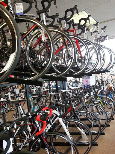 Bicycle Store «Martins Bike Shop», reviews and photos, 1891 Division Hwy, Ephrata, PA 17522, USA