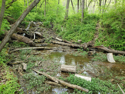 Nature Preserve «Fox Bluff Conservation Area», reviews and photos, Cold Springs Rd, Algonquin, IL 60102, USA