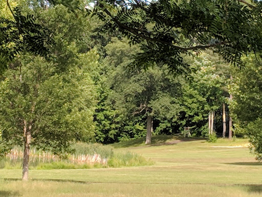 Pinicle State Park pavilion image 10