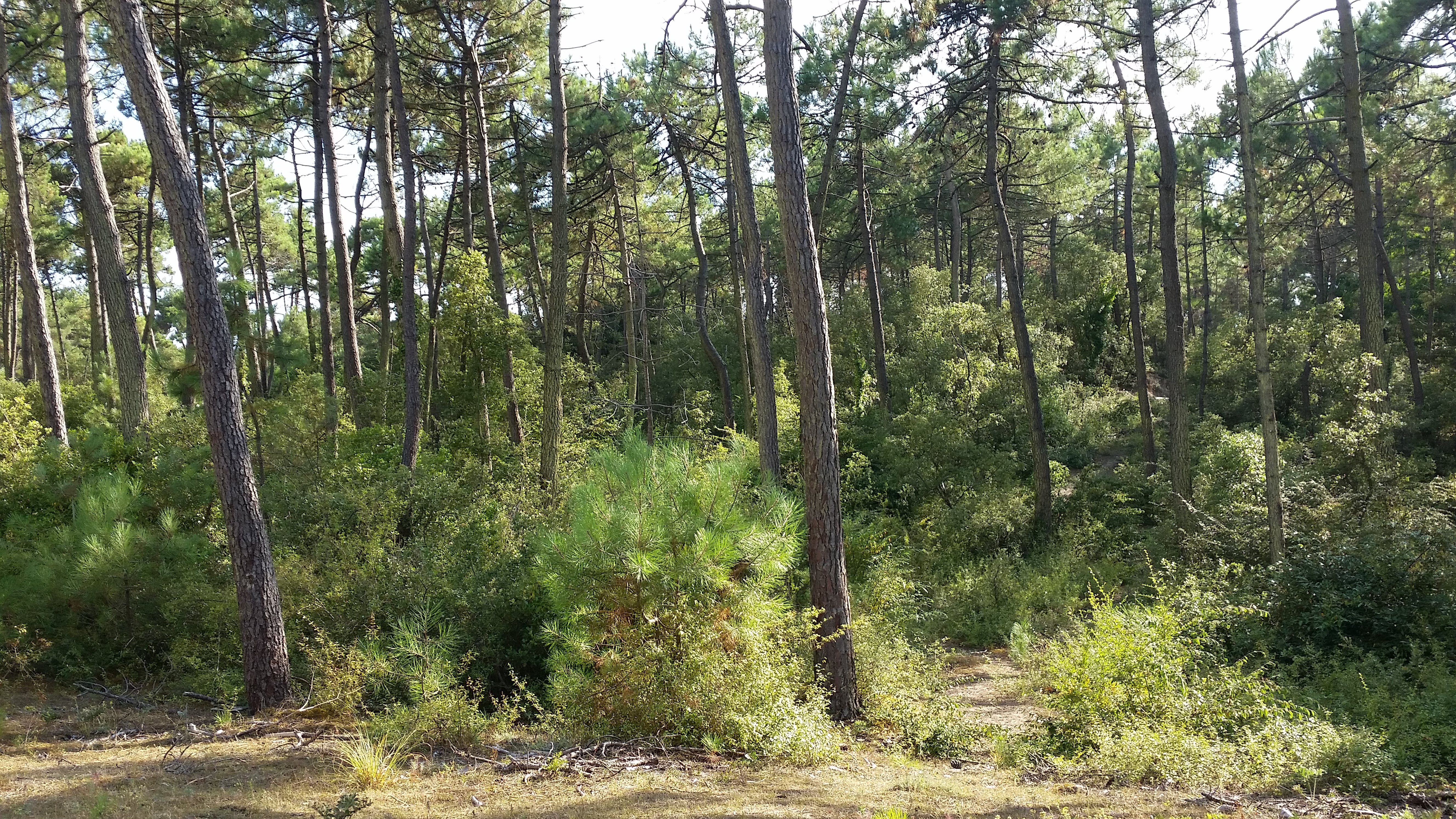 Photo n° 5 de l'avis de COCO.E fait le 30/08/2016 à 20:24