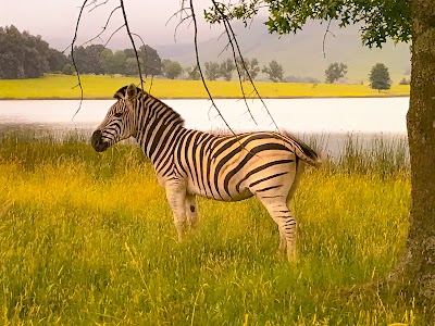 Photos of Sani Valley Lodge and Hotel