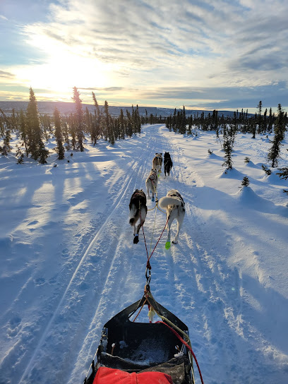 Silver Songs Sled Dogs