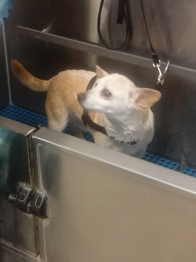 Pet Supply Store «Pet Supplies Plus», reviews and photos, 1791 W Columbia Ave, Battle Creek, MI 49015, USA