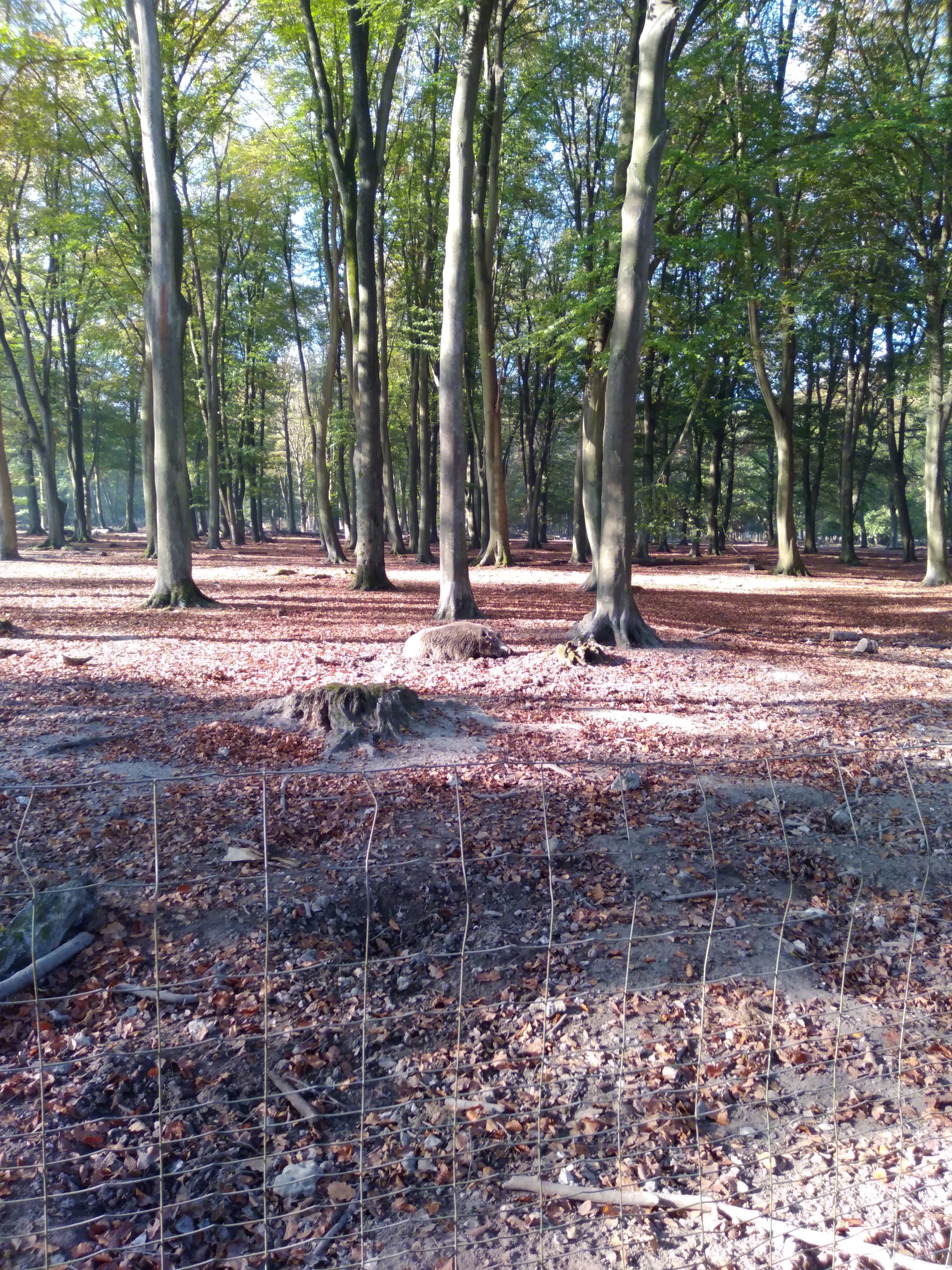 Photo n° 3 de l'avis de Touriste. fait le 24/10/2018 à 21:13