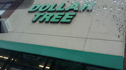 Dollar Store «Dollar Tree», reviews and photos, 912 River St Ste 100, Hyde Park, MA 02136, USA