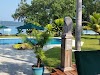 Bokissa Private Island Logo, Vanuatu, Tourist Attraction