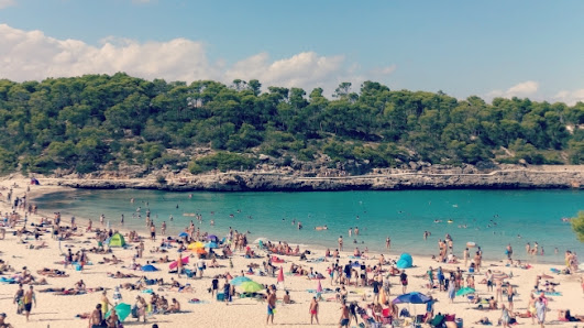 Balearity - Balearic Islands Guide Es Palmer, 384, 07630 Campos, Balearic Islands, España