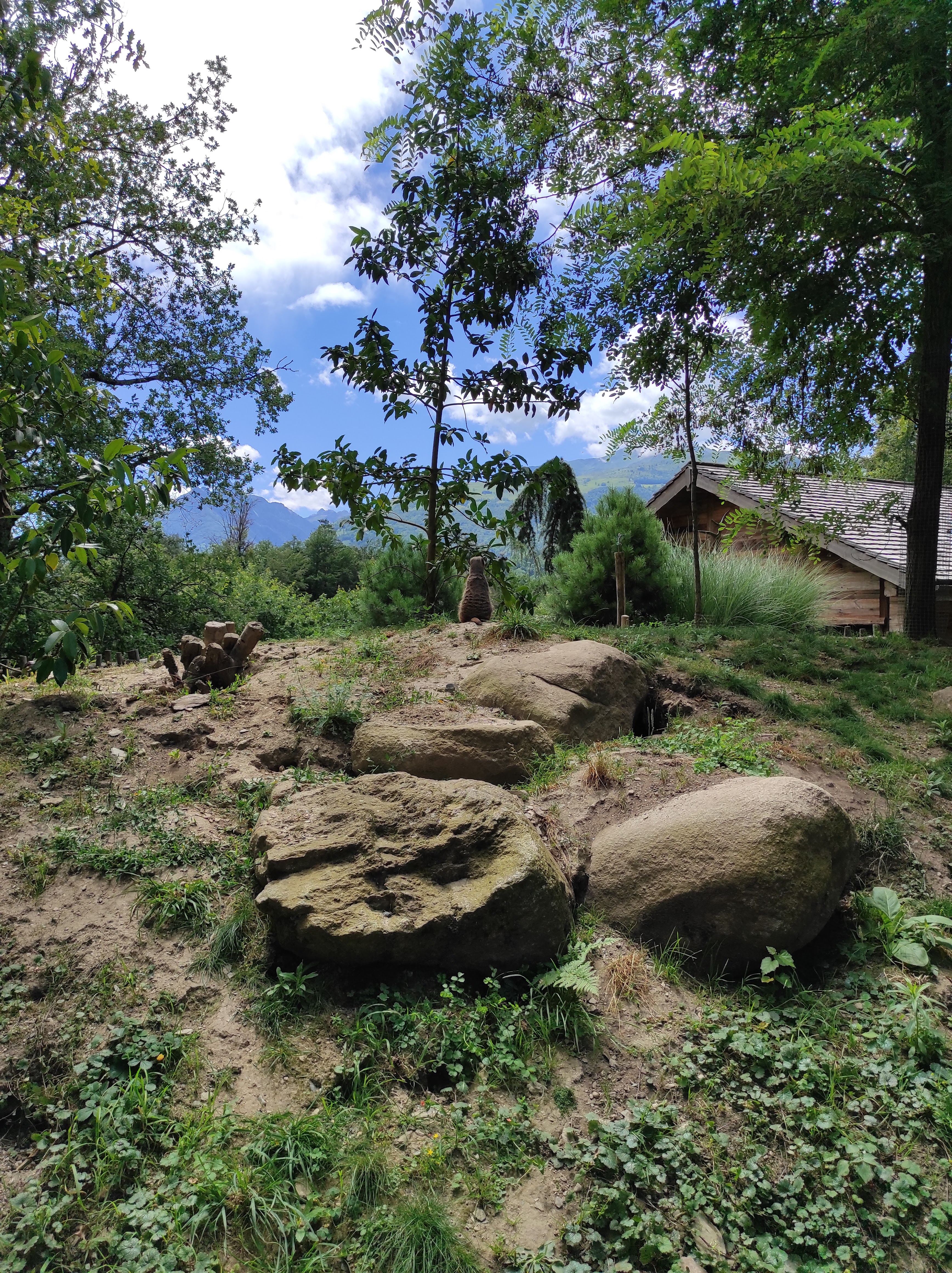 Photo n° 7 de l'avis de Nathalys.a fait le 28/07/2023 à 09:37