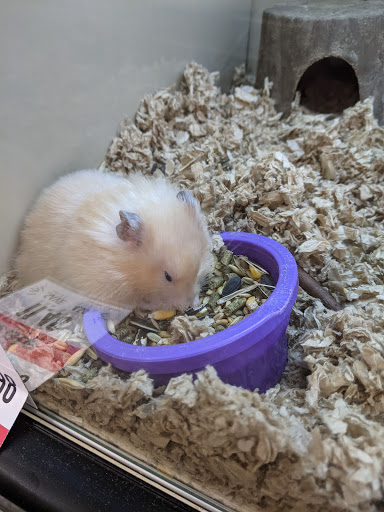 Pet Supply Store «Pet Supplies Plus», reviews and photos, 1030 Main St #10, Waltham, MA 02451, USA